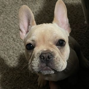 Meet your Posher, Candice